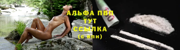 2c-b Вяземский