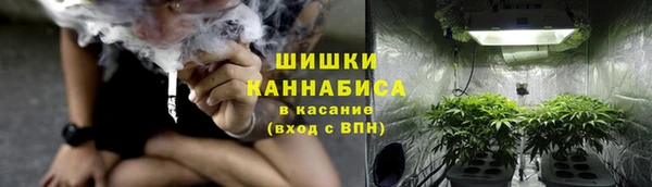 2c-b Вяземский