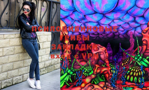 2c-b Вяземский