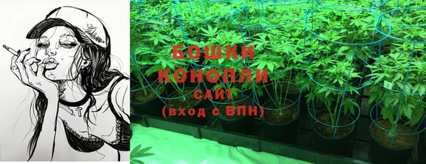 крисы Вязники