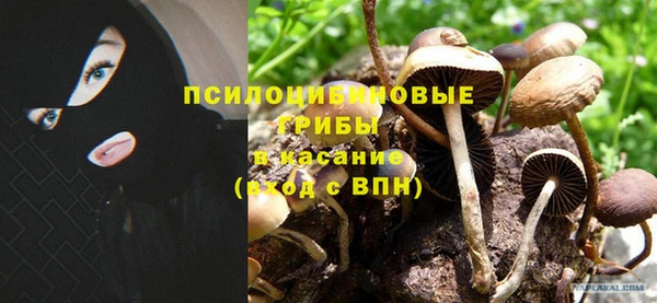 2c-b Вяземский