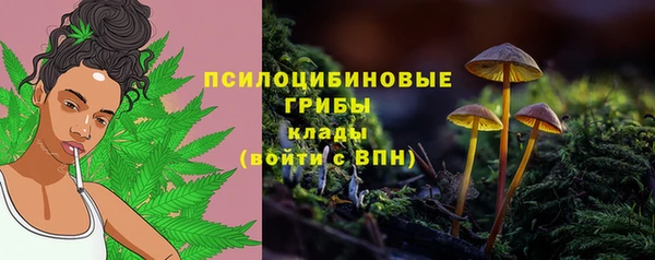 2c-b Вяземский