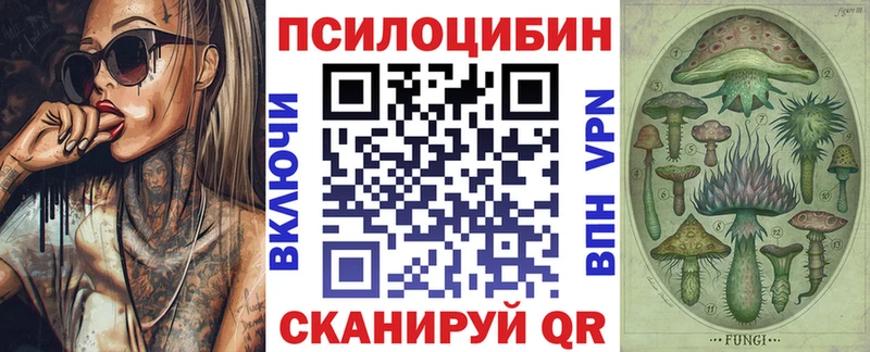 Купить закладки  Ардон  Псилоцибиновые грибы Magic Shrooms 