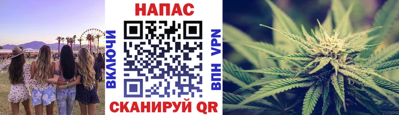 Конопля ГИДРОПОН  Купить  Ардон 
